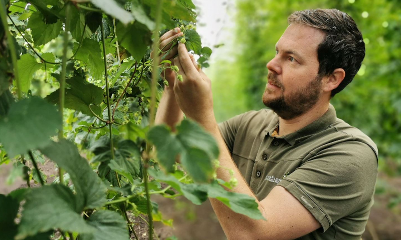 Hop bekijken bij Brabanthop